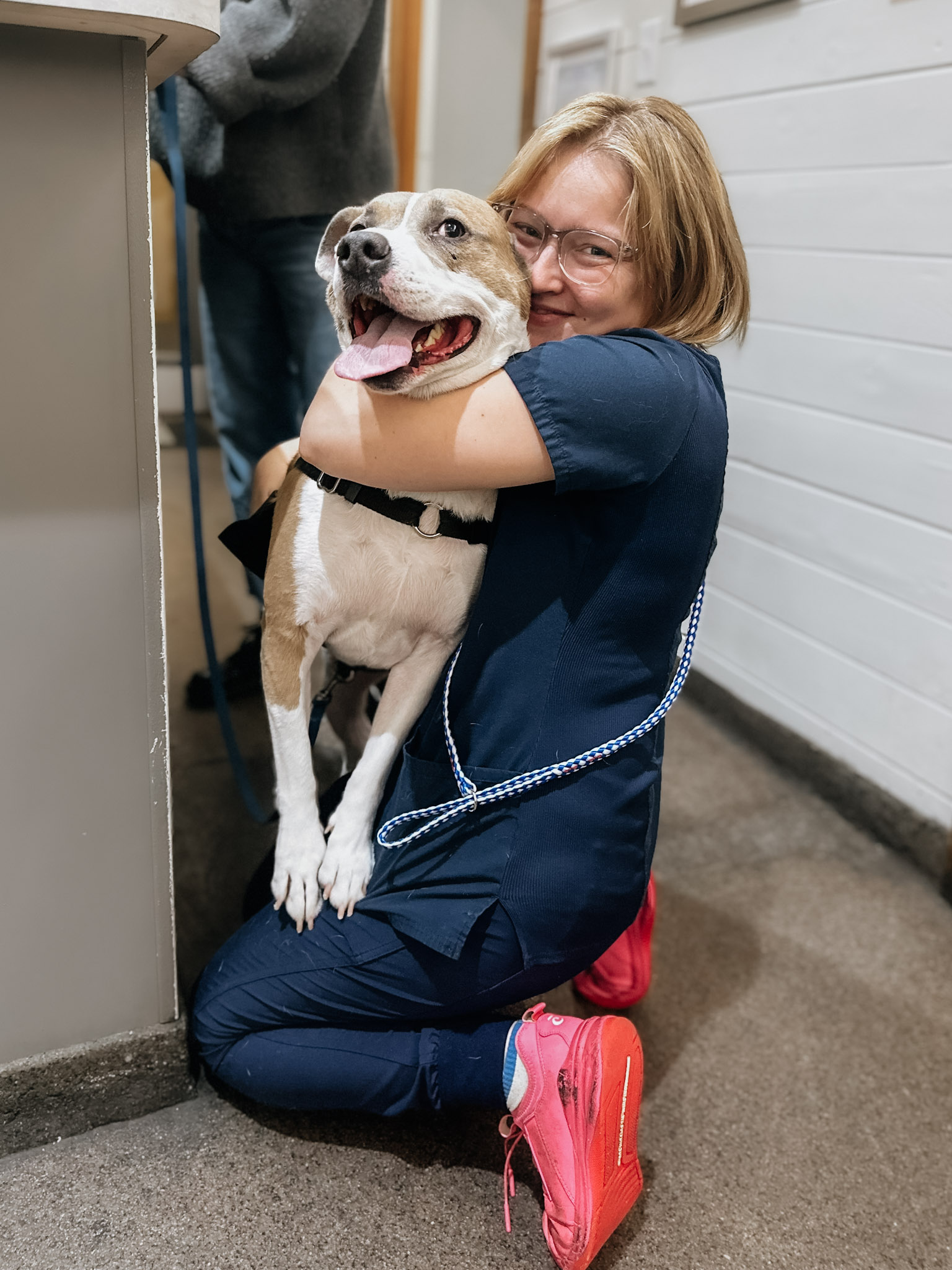 veterinary clinic near collegedale tn