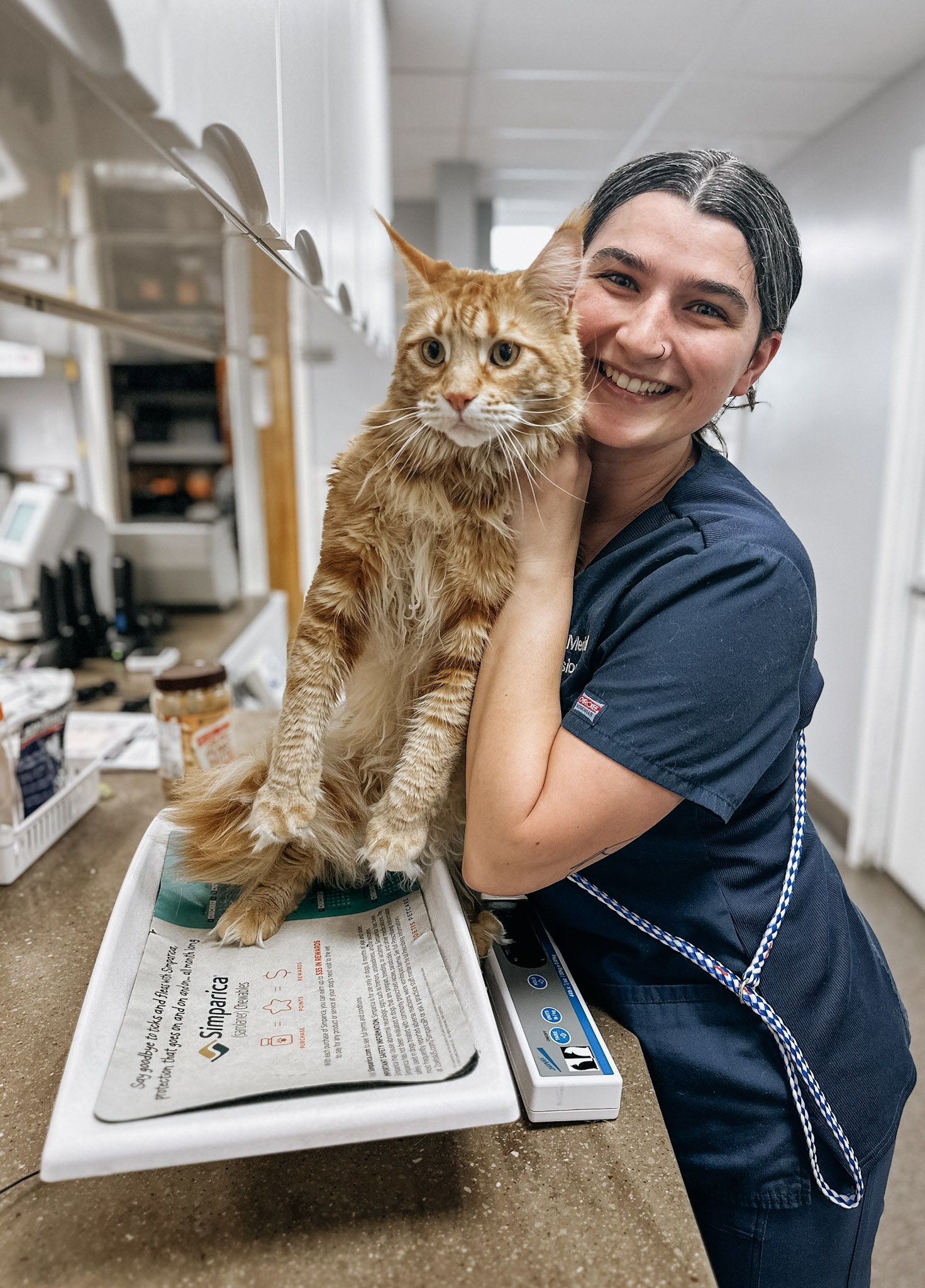 veterinary clinic near collegedale tn