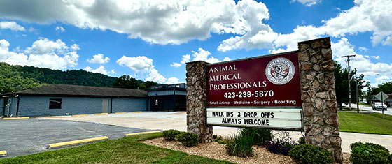 veterinary clinic near me
