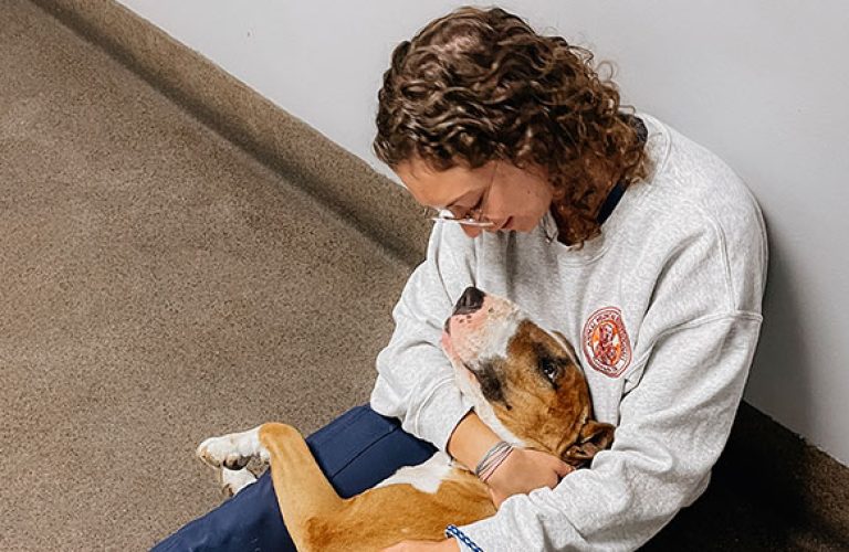 veterinarians near ooltewah tn